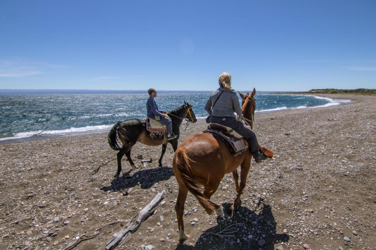 Estancia La Serena Перито-Морено Экстерьер фото